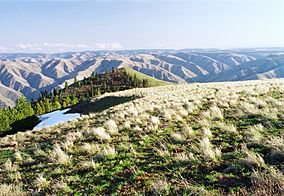 Puffer Butte summit.jpg