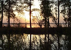 Rappahannock River Valley National Wildlife Refuge. Credit- USFWS (11736102146).jpg