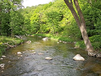 Redwood River Camden.jpg