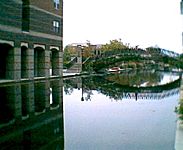 Reflection of bridge