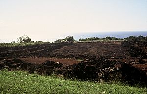 Ruins of mahuka heiau