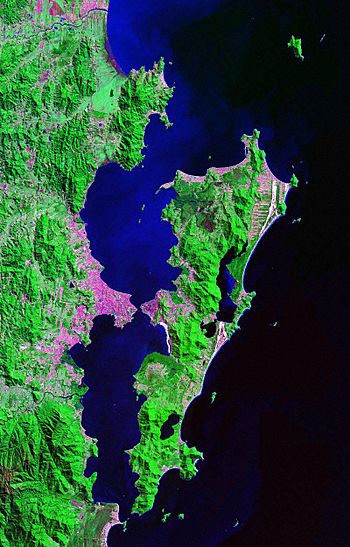 SantaCatarinaIsland Landsat 2000.jpeg