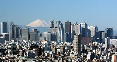 Skyscrapers of Shinjuku 2009 January