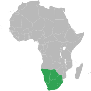 Southern African Customs Union