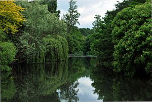 Syon Park Lake.JPG