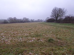 Tailby Meadow 3.jpg