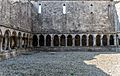 The Cloisters at Askeaton Friary!