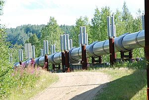 Trans-Alaskan Pipeline