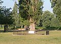 USAAF and deer, Bushy Park