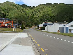 Wainuiomata Tunnel 01