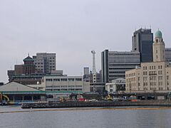 Yokohama3Towers From Akarenga