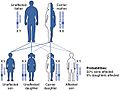 2928 X-linked Recessive Inheritance-new