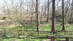 Abbey Wood SSSI.JPG