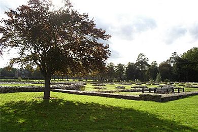 Abbeyruins Leicester