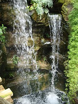 Amazonia Waterfalls