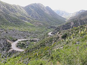 Angeles Crest Highway 2019