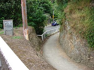 Awarua Street railway station 01