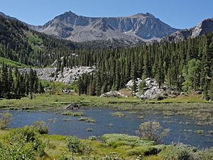 Beaver lodge McGee Creek