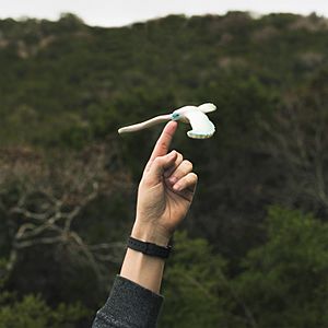 Bird toy showing center of gravity