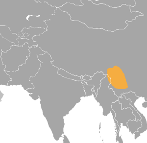 Chrysolophus amherstiae range map.png