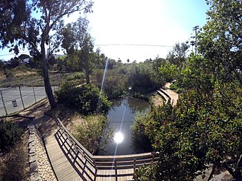 Cottonwood Creek, Encinitas.jpg