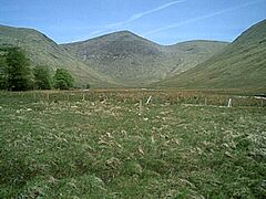 Creach Bheinn and Glen Galmadale