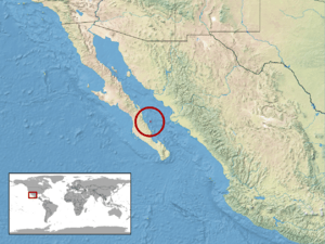 Crotalus catalinensis distribution.png