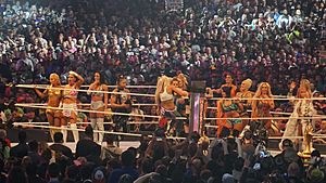 Divas Battle Royal WM34 crop