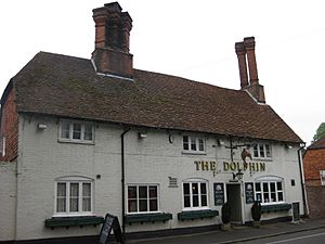 DolphinPubHursley