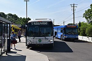 Eau Claire Transit buses