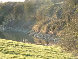 Finedon Top Lodge Quarry 4.jpg