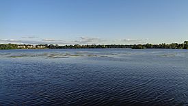 Ford Lake (Michigan).jpg