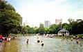 Frog Pond at Boston Common