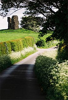 Greenhalgh Castle 239-18 20-May-08.jpg