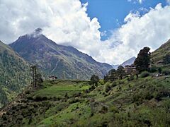 Himalayan Landscape