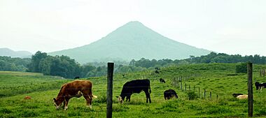 House-Mountain-from-Blaine-tn1