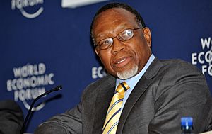 Kgalema Motlanthe, 2009 World Economic Forum on Africa