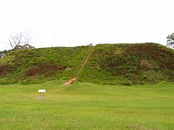 Kolomoki-temple-mound.jpg