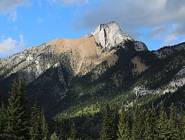 Mary Barclay's Mountain.jpg