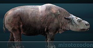 Mixotoxodon