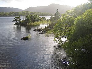 Muckross Lake - geograph.org.uk - 260386