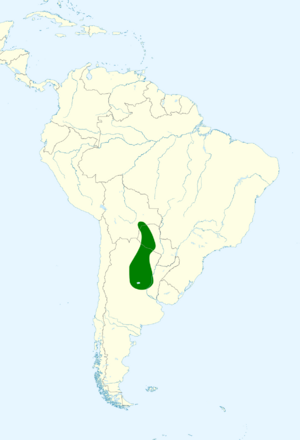 Rhynchospiza strigiceps map.svg