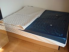 Softside Waterbed Inside