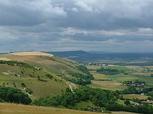 South Downs View