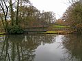 StaffsWorcs Lake at Prestwood