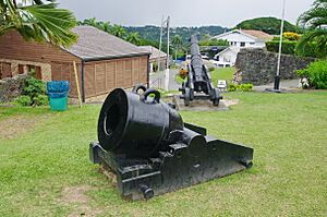 TOBAGO-fort-king-george-kanonen