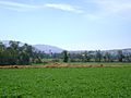 Tequixquiac desde Ejido Zopilote