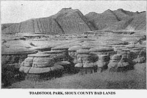 Toadstoolpark1905