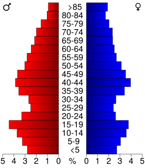 USA Douglas County, Minnesota age pyramid