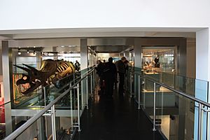 Ulster Museum (20), October 2009